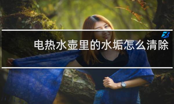 电热水壶里的水垢怎么清除 - 水壶里的水垢应该怎么去除