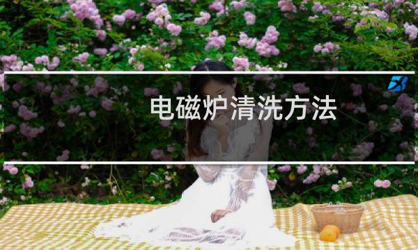 电磁炉清洗方法 - 电磁炉清洗小妙招