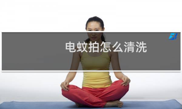 电蚊拍怎么清洗 - 电蚊拍脏了怎样清洗