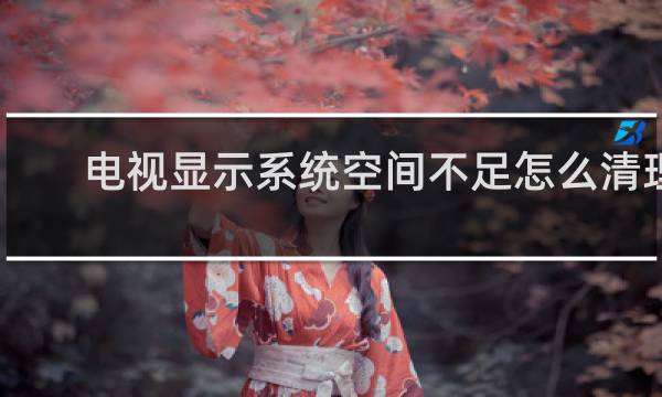 电视显示系统空间不足怎么清理 - 海尔电视内存严重不足打不开