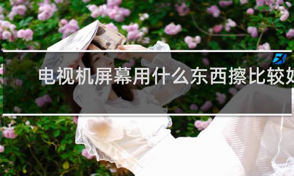 电视机屏幕用什么东西擦比较好 - 电视机屏幕用水擦会坏吗
