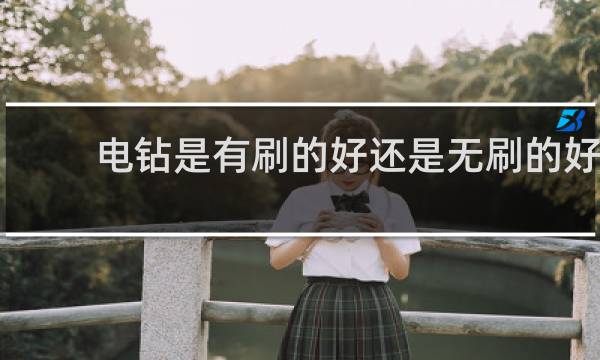 电钻是有刷的好还是无刷的好 - 无刷和有刷哪个扭力大