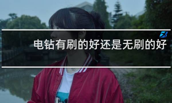 电钻有刷的好还是无刷的好 - 手电钻有必要买无刷的吗