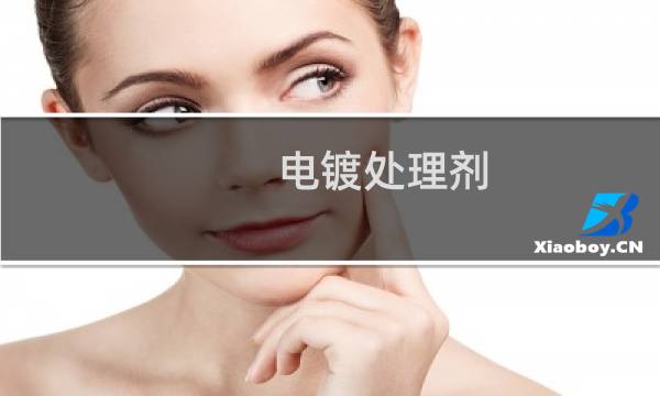 电镀处理剂 -