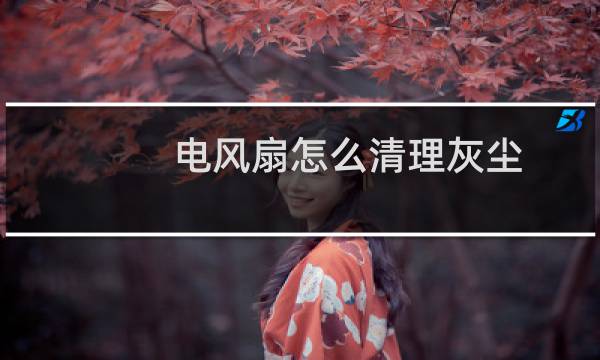 电风扇怎么清理灰尘 - 电风扇灰尘怎么处理