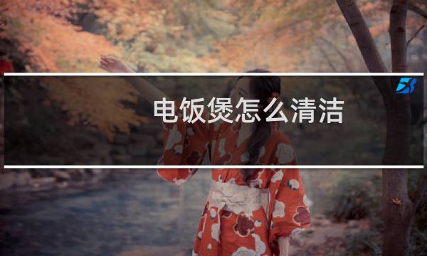 电饭煲怎么清洁 - 电饭煲怎么清洁内部
