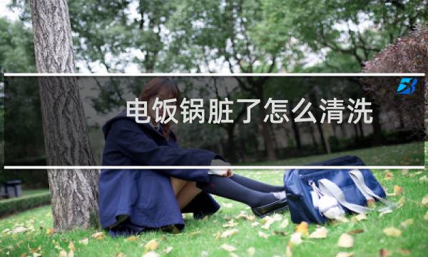 电饭锅脏了怎么清洗 - 电饭煲里面脏了怎么洗