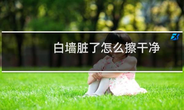 白墙脏了怎么擦干净 - 乳胶漆白墙脏了小妙招