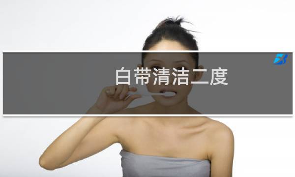 白带清洁二度 - 白带常规清洁度