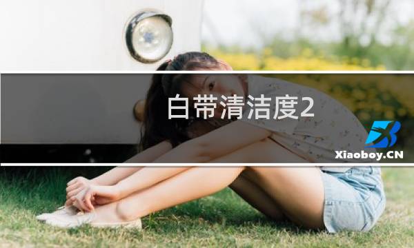 白带清洁度2 - 白带乳酸杆菌一个减号