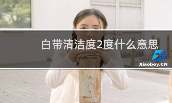 白带清洁度2度什么意思 - 白带白细胞1个加号清洁度2度