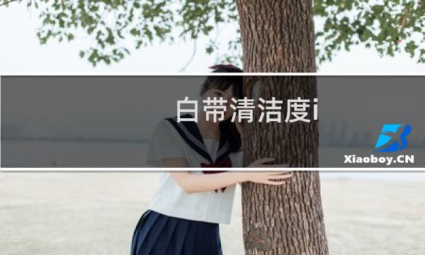 白带清洁度i - 白带常规清洁度是什么意思