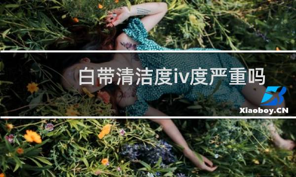 白带清洁度iv度严重吗 - 孕妇白带清洁度4不痒