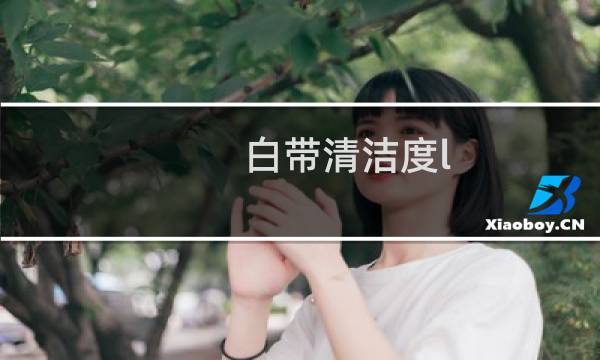 白带清洁度l - 白带常规清洁度是I