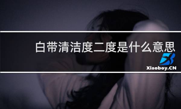 白带清洁度二度是什么意思 - 妇科白带清洁度2度什么意思