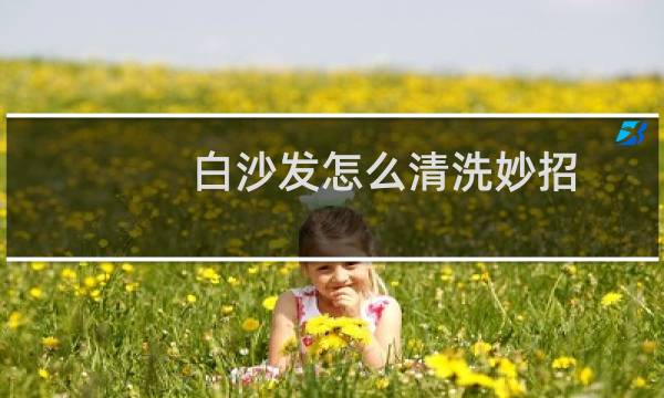 白沙发怎么清洗妙招 - 白色皮沙发清洗小妙招