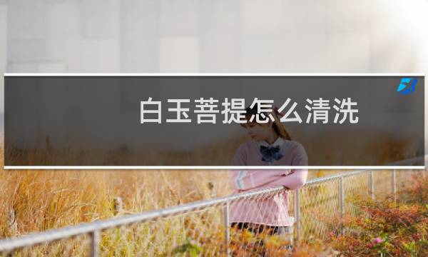 白玉菩提怎么清洗 - 白玉菩提黑了怎么清洗