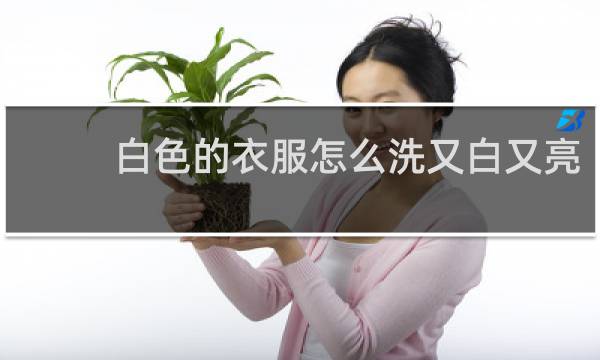 白色的衣服怎么洗又白又亮 - 白色衣服怎么洗能变白