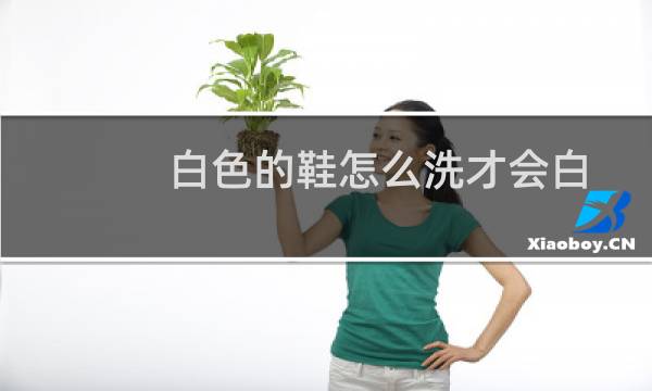 白色的鞋怎么洗才会白 - 最有效的洗白鞋方法