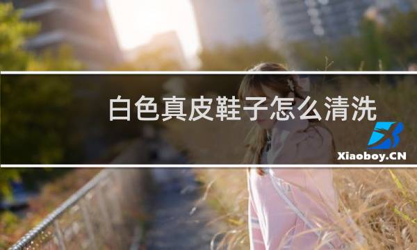白色真皮鞋子怎么清洗 - 皮质小白鞋里面怎么洗