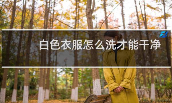 白色衣服怎么洗才能干净 - 白衣服拿什么洗能干净