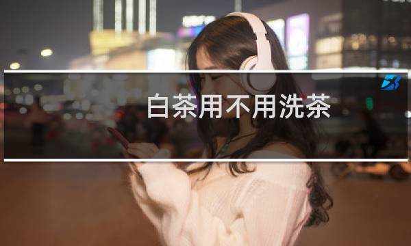 白茶用不用洗茶 - 白茶饼要不要洗茶