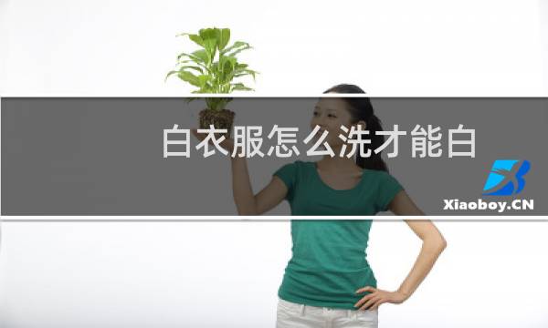 白衣服怎么洗才能白 - 久穿的白t恤怎样洗白白的