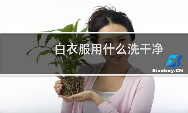 白衣服用什么洗干净 - 白衣服用什么能洗掉