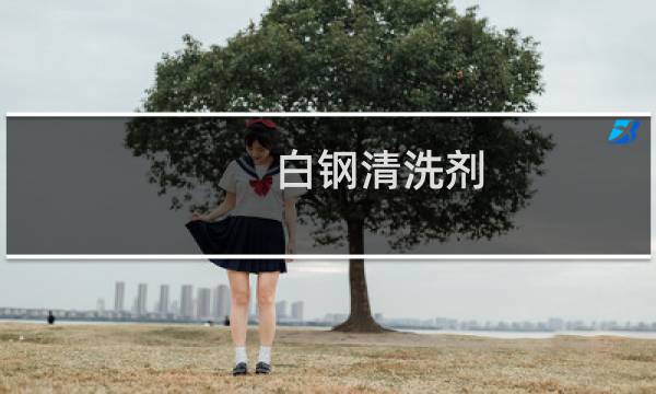 白钢清洗剂 - 白钢去污剂