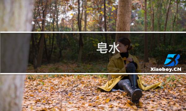 皂水 - 皂氺