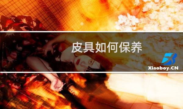 皮具如何保养 - 皮具保养方法