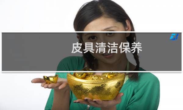 皮具清洁保养 - 最好用的皮具清洁护理