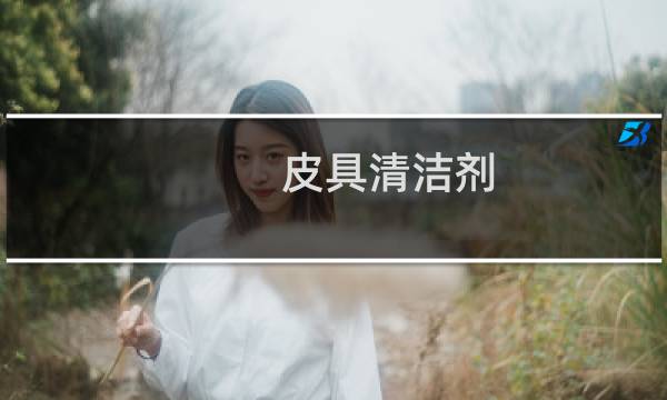 皮具清洁剂 - 皮革清洁剂有毒吗