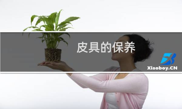 皮具的保养 - 皮具为什么要保养