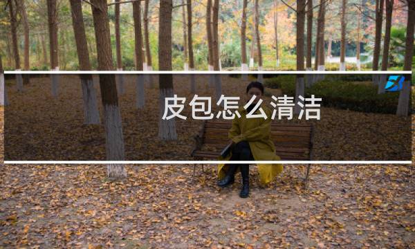 皮包怎么清洁 - 真皮皮包老化怎么修复脱皮