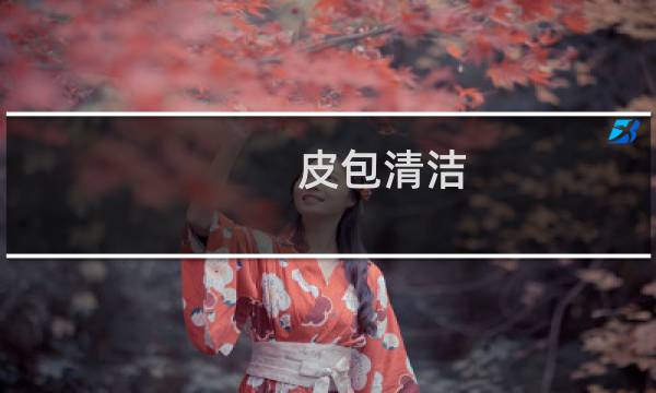 皮包清洁 - 皮包清洁方法