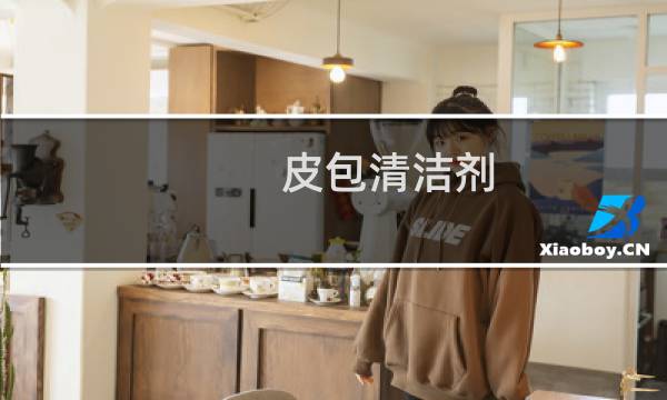 皮包清洁剂 - 皮包清洁剂哪款好