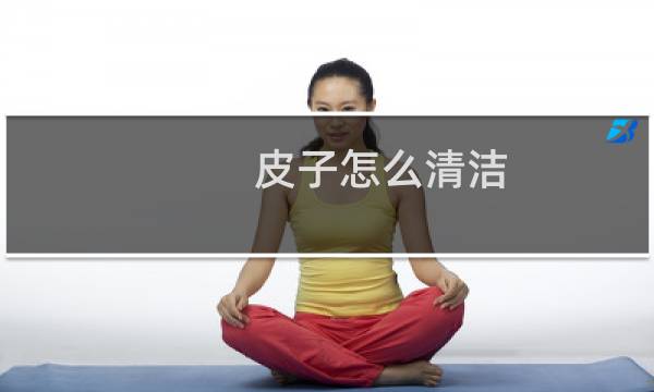 皮子怎么清洁 - 皮革去污妙招