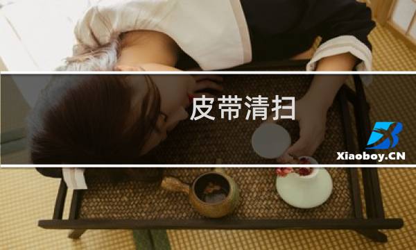 皮带清扫 - 皮带清扫方案