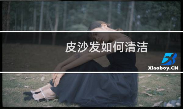 皮沙发如何清洁 - 清洗皮沙发的6个小妙招