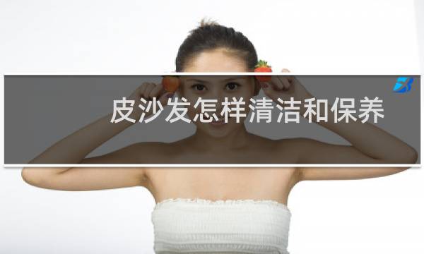 皮沙发怎样清洁和保养 - 真皮沙发的清洁与保养