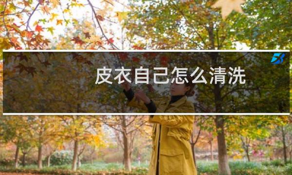 皮衣自己怎么清洗 - 皮衣内衬脏了怎么清洗