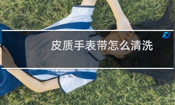 皮质手表带怎么清洗 - 怎么清洗皮表带