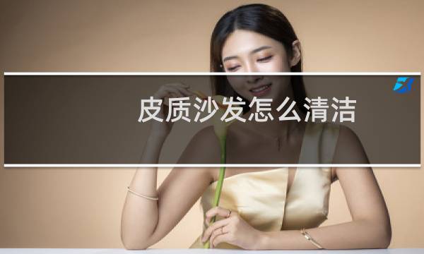 皮质沙发怎么清洁 - 真皮沙发的清洁与保养