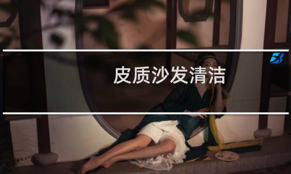 皮质沙发清洁 - 真皮沙发的清洁与保养