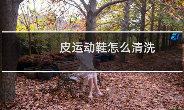皮运动鞋怎么清洗 - 皮面运动鞋内里怎么清洗