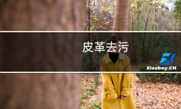 皮革去污 - 皮革去污妙招