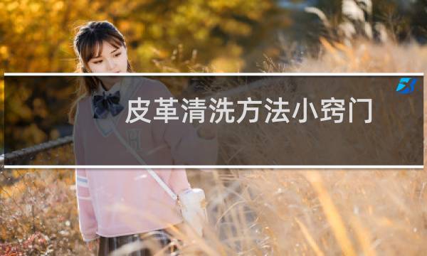 皮革清洗方法小窍门 - 皮革去污妙招