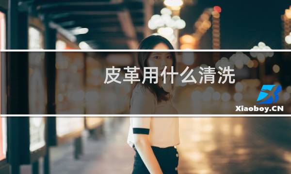 皮革用什么清洗 - 皮革去污妙招