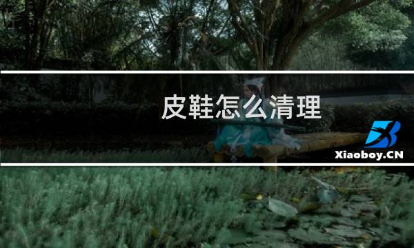 皮鞋怎么清理 - 皮鞋怎么清理内部
